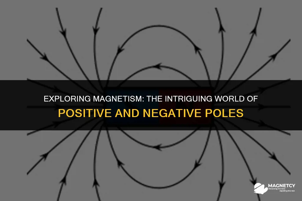 do magnets have negative and positive poles