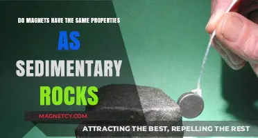 Exploring the Intriguing Similarities Between Magnets and Sedimentary Rocks