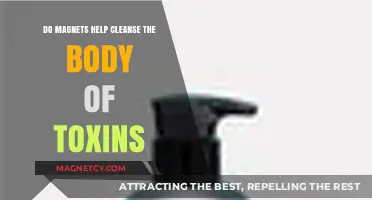 Exploring the Myth: Can Magnets Detoxify Your Body?