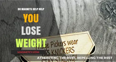 Exploring the Myth: Can Magnets Really Aid in Weight Loss?