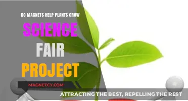 Exploring the Effects of Magnets on Plant Growth: A Science Fair Investigation