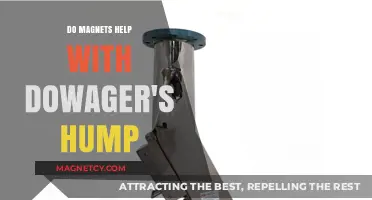 Exploring the Myth: Can Magnets Really Help with Dowager's Hump?