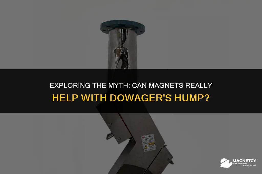 do magnets help with dowager