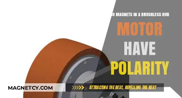 Understanding Polarity in Brushless Hub Motor Magnets