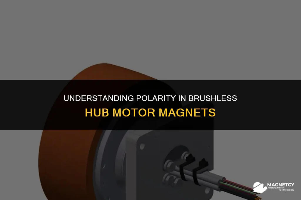 do magnets in a brushless hub motor have polarity