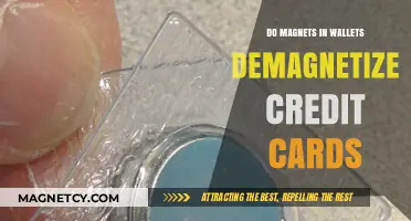 Wallet Magnets: The Hidden Culprit Behind Demagnetized Credit Cards?