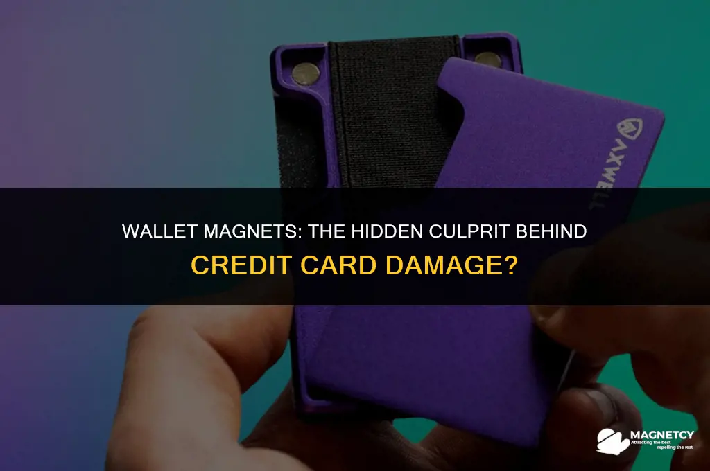 do magnets in wallets hurt credit card strips