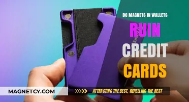 Magnets in Wallets: A Hidden Danger for Your Credit Cards?