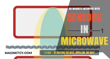Exploring the Impact of Magnets on Microwave Sensor Functionality