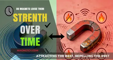 The Longevity of Magnetism: Do Magnets Lose Their Strength Over Time?