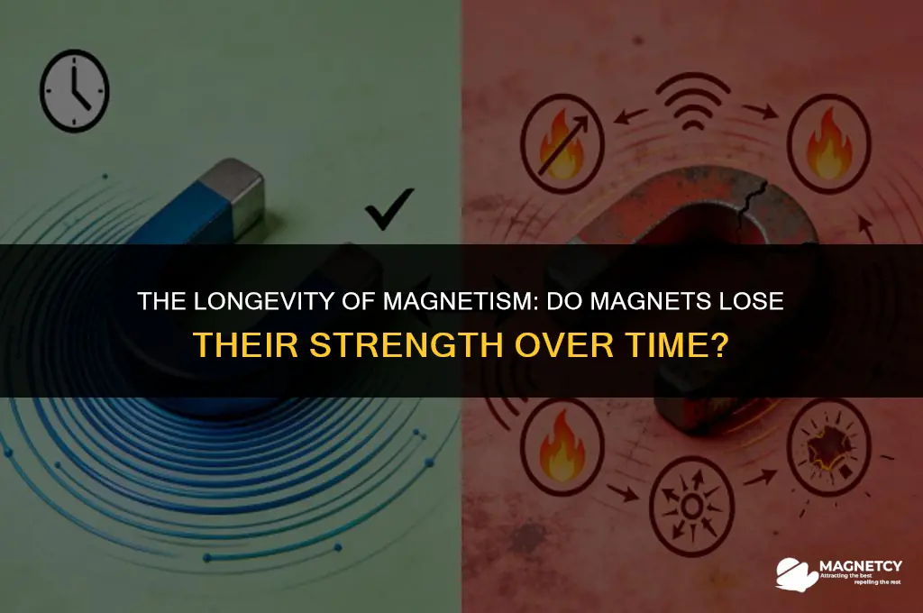 do magnets loose theri strenth over time