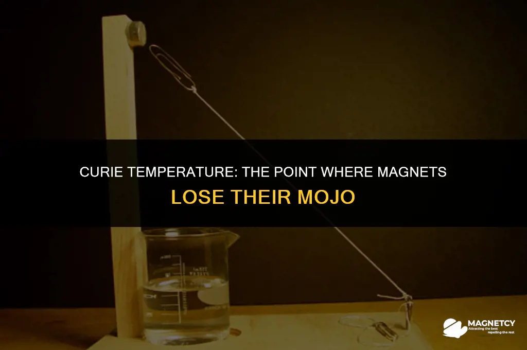 do magnets lose all magnetism at curie temperature