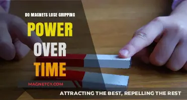 The Longevity of Magnetism: Do Magnets Lose Their Grip Over Time?