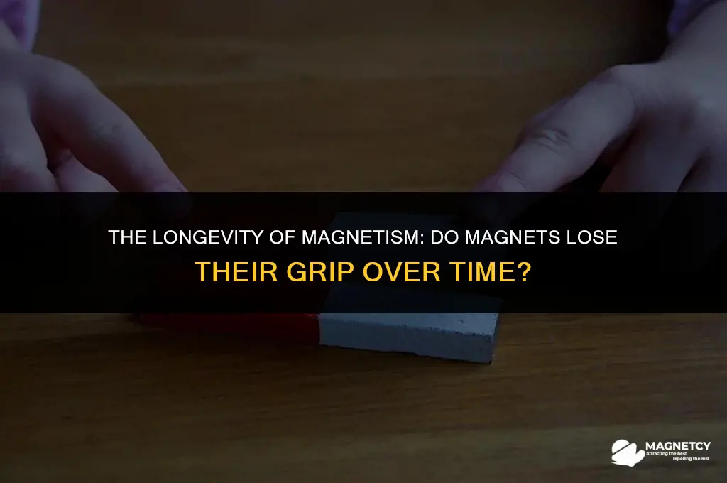 do magnets lose gripping power over time