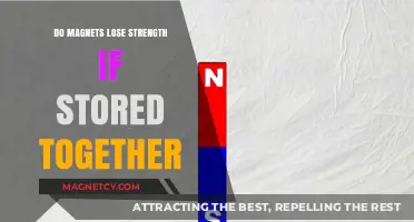 Magnetic Attraction: The Truth About Storing Magnets Together