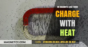 Heat's Impact on Magnetism: Do Magnets Really Lose Their Charge?