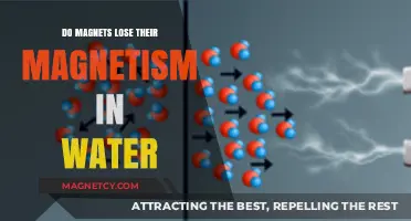 Exploring Magnetism: Do Magnets Lose Their Power in Water?