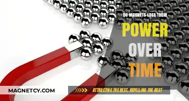 The Longevity of Magnetism: Do Magnets Really Lose Their Power?