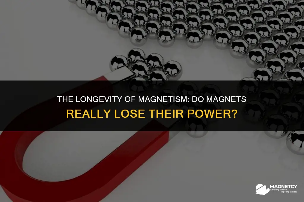 do magnets lose their power over time