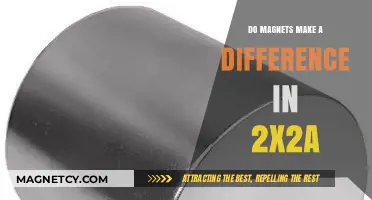 Exploring the Impact of Magnets in 2x2a: A Comprehensive Analysis