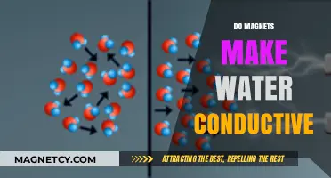 Exploring the Myth: Can Magnets Truly Enhance Water's Conductivity?