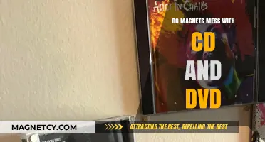 Magnetic Fields and Optical Discs: Do Magnets Affect CDs and DVDs?