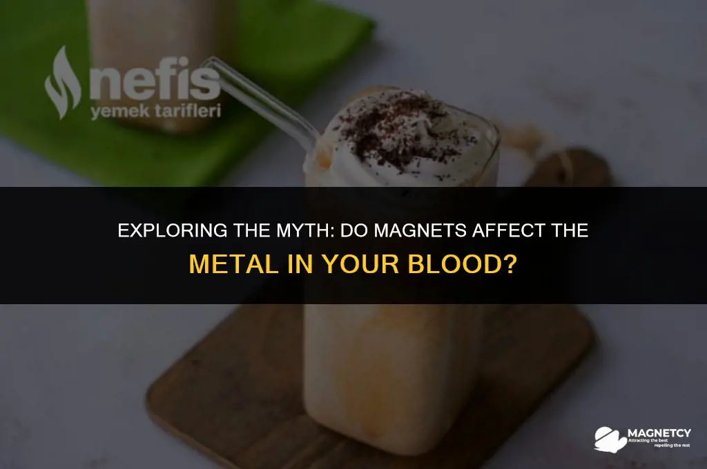 do magnets mess with the metal in your blood