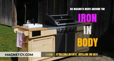 Exploring the Myth: Do Magnets Really Move Around the Iron in Our Bodies?
