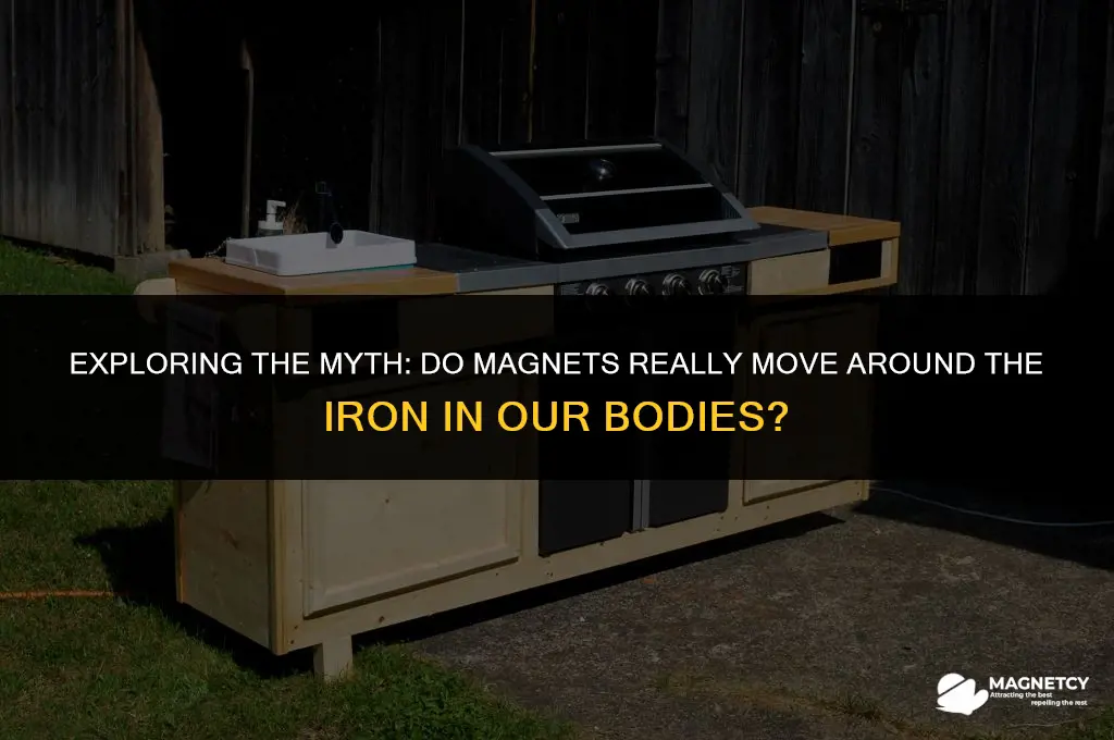 do magnets move around the iron in body