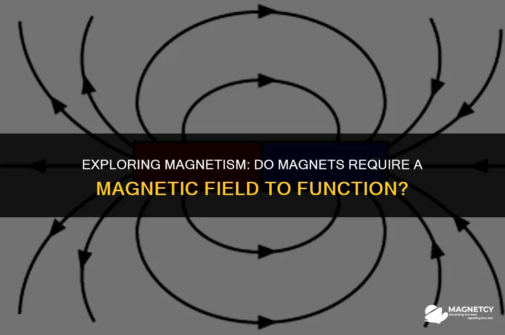 do magnets need a magnetic feild to work
