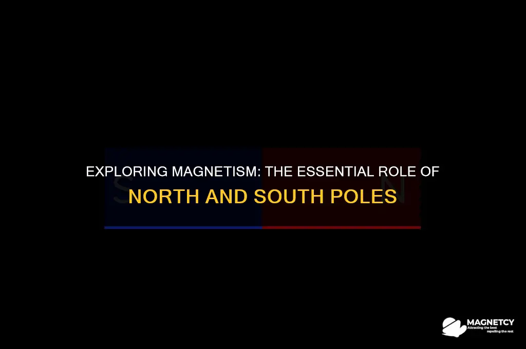 do magnets need north and south pole