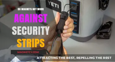 Debunking Myths: Do Magnets Really Bypass Security Strips?