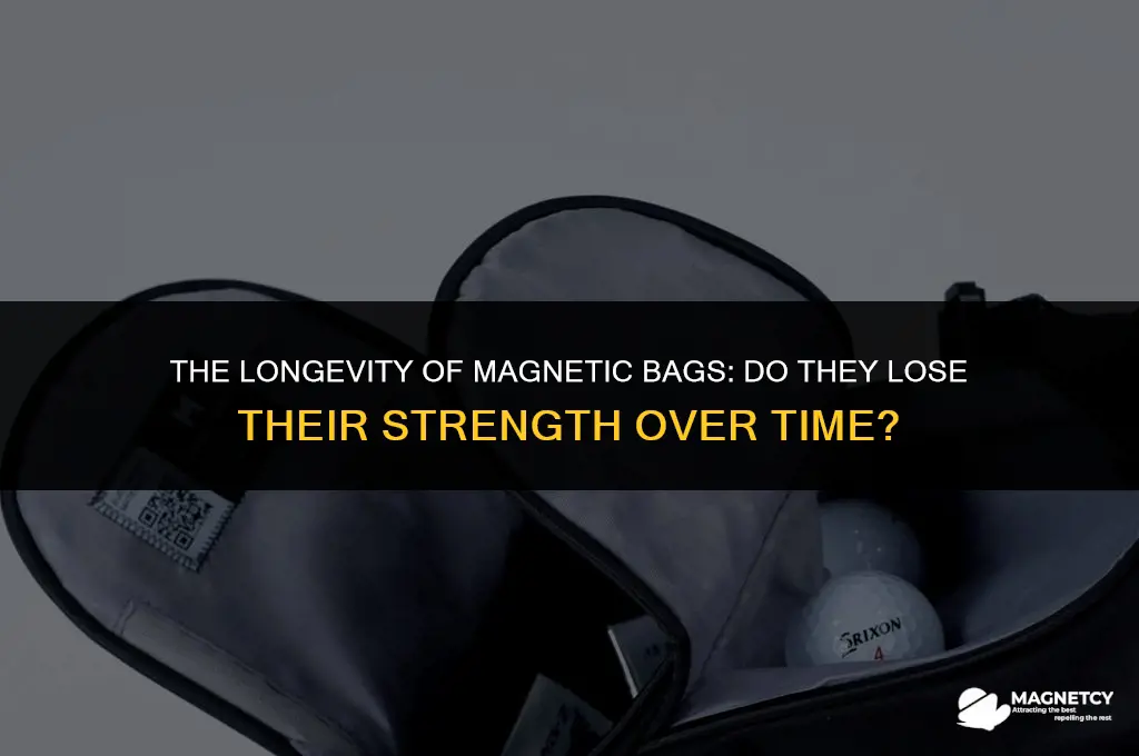 do magnets on bags weaken over years