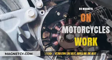 Revving Up Safety: The Truth About Magnets on Motorcycles