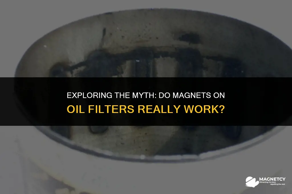 do magnets on oil filters work