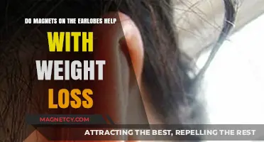 Exploring the Myth: Can Magnets on Earlobes Aid Weight Loss?