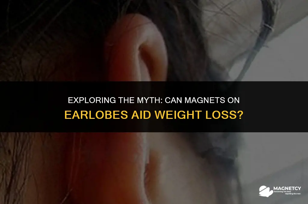 do magnets on the earlobes help with weight loss