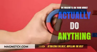 Exploring the Science Behind Wrist Magnets: Do They Really Work?