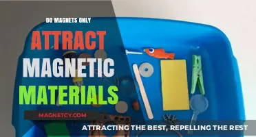 Magnets Beyond Metal: Exploring Attraction to Non-Magnetic Materials