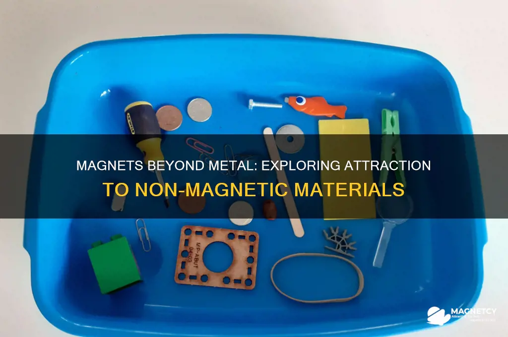 do magnets only attract magnetic materials