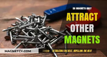 Magnetic Mysteries: Do Magnets Only Attract Other Magnets?