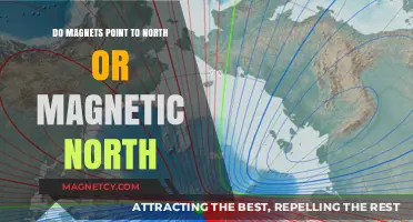 Exploring the Difference: True North vs. Magnetic North