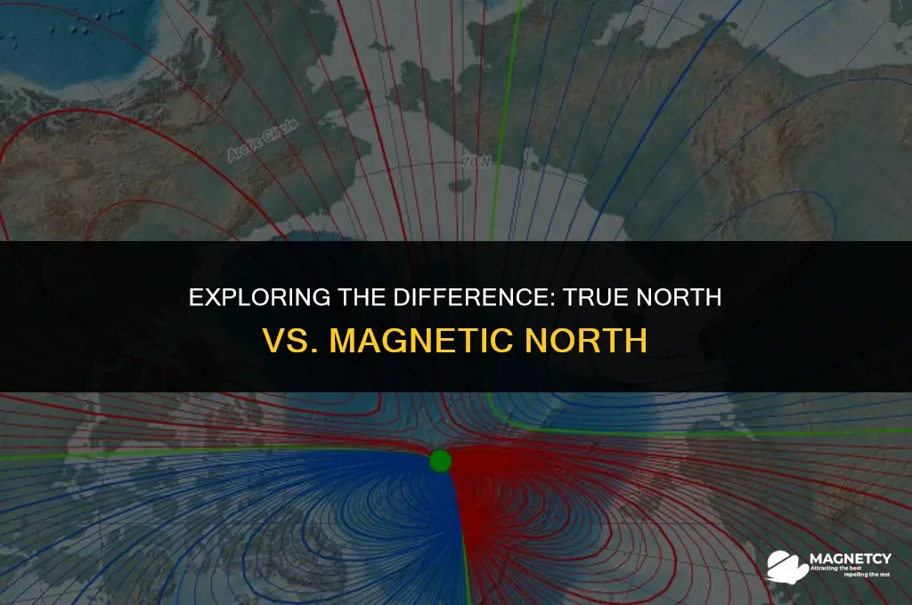 do magnets point to north or magnetic north