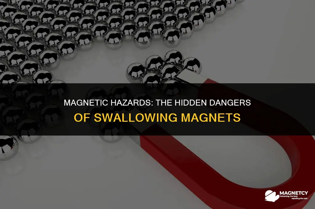 do magnets pose a risk to swallowing