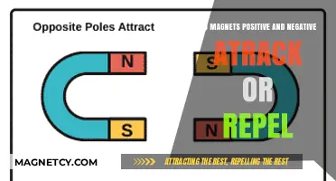 Exploring Magnetism: Do Opposites Attract or Repel?