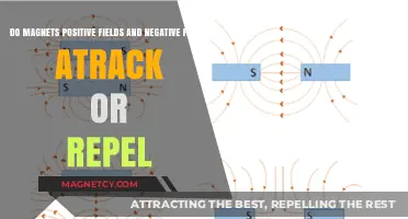 Exploring Magnetism: Do Opposite Fields Attract or Repel?