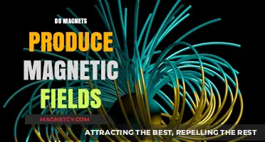 Exploring the Invisible Force: Do Magnets Produce Magnetic Fields?