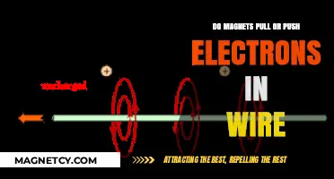 Exploring Magnetic Forces: Do Magnets Pull or Push Electrons in Wire?