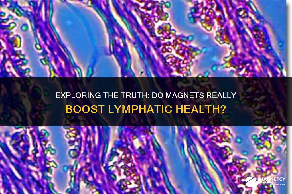 do magnets really help the lymphatic system