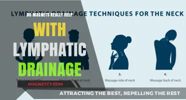 Exploring the Truth: Do Magnets Aid Lymphatic Drainage?